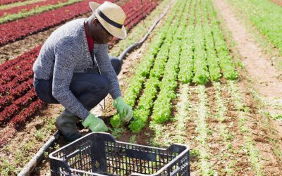 FUTURE SUSTAINABILITY